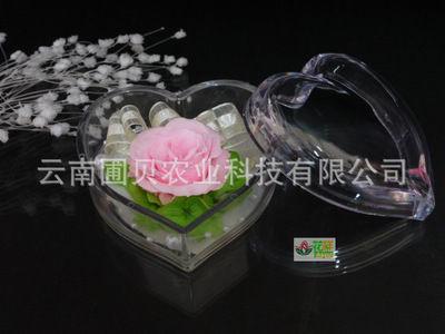 【保鲜花一花心永生花出口保鲜花批发】价格,厂家,图片,鲜花、花艺制品,云南圃贝农业科技-